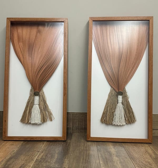 Dupla de quadros com escultura em tecido rosé e tassels em moldura de madeira